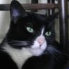 CrAzYcatmama M.